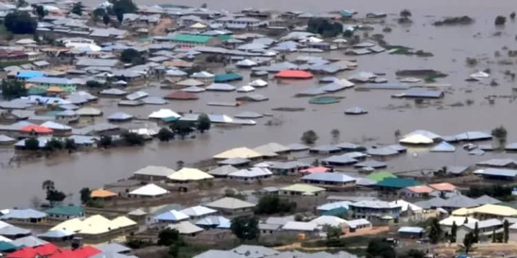 750px x 375px - Flood: Bayelsa IDP Camp Records 2 Births
